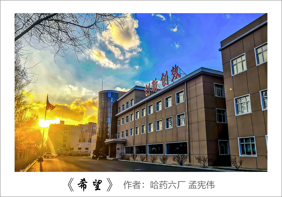 【迎国庆 展风采】我眼中的MG电子免费试玩&mdash;&mdash;职工摄影大赛作品展示！